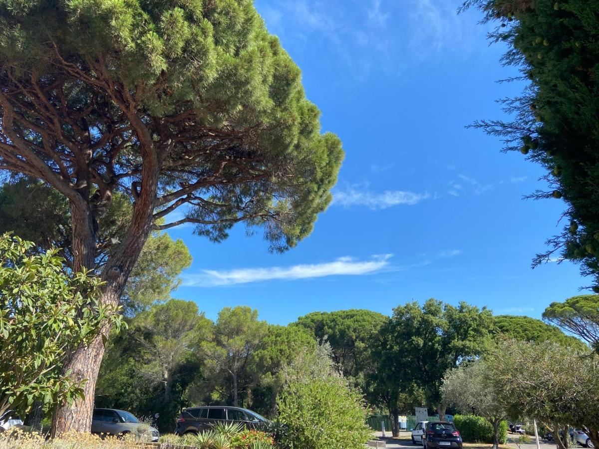 Domaine Valescure Appartement 1 Ou 2 Pieces Vue Jardin Ou Piscine Saint-Raphaël エクステリア 写真